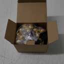 Solar Moroccan String Lights Outdoor 60 LED 36 Ft Globe Fairy Lights with 8 Lighting Modes, Waterproof Solar Powered String Lights for Garden Yard Gazebos Camping Party Holiday (Warm White) (1 pc)