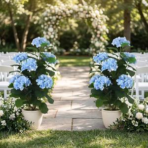 31" Large Artificial Blue Hydrangea Floor Plant, Realistic Faux Silk Floral Arrangement in Black Pot, UV Resistant Tall Outdoor Decorative Flowers for Porch, Patio, Office & Home Entrance