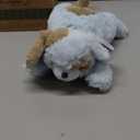 Bearington Baby Lil' Waggles Baby Boy Stuffed Animal with Rattle - 8" Soft Blue Dog Plush with Satin Accents for Newborn Boys - Adorable Stuffed Animals for Babies - Cuddly First Toy Gift for Infants