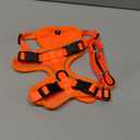 Cat Harness and Leash for Walking Escape Proof Soft Adjustable Cat Leash Breathable Comfortable Vest Easy to Wear Kitten Harness for Outdoor Travel, Orange, M (M (13-18lb))