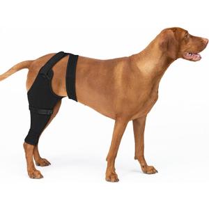 Dog Sleeve for Rear Legs to Stop Licking, Upgraded Surgical Recovery Sleeve for Hind Back Leg Wound,TPLO, ACL Surgery, Light Comfortable Cone Alternative (Right, 2XL) Dog Sleeve for Rear Legs to Stop Licking, Upgraded Surgical Recovery Sleeve for Hind Back Leg Wound,TPLO, ACL Surgery, Light Comfortable Cone Alternative (Right, 2XL)