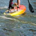 Karltion Kayak Paddle - Adjustable 2 Pieces Aluminum Alloy Shaft with Glass Fiber Blade for Surfing,Oar Fishing Easy Packable Travel