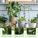 2 Pack Small Plant Trellis for Pots Indoor, Clear Acrylic Hoya Pothos Trelli with 20 Ties