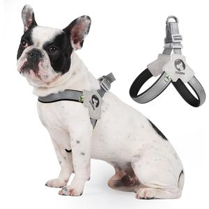 No Pull Small Dog Harness, Adjustable Puppy Soft Vest Harness with Breathable Mesh Padded, Reflective Lightweight Harness with Buckle for Extra Small Medium Dogs, Sliver-M