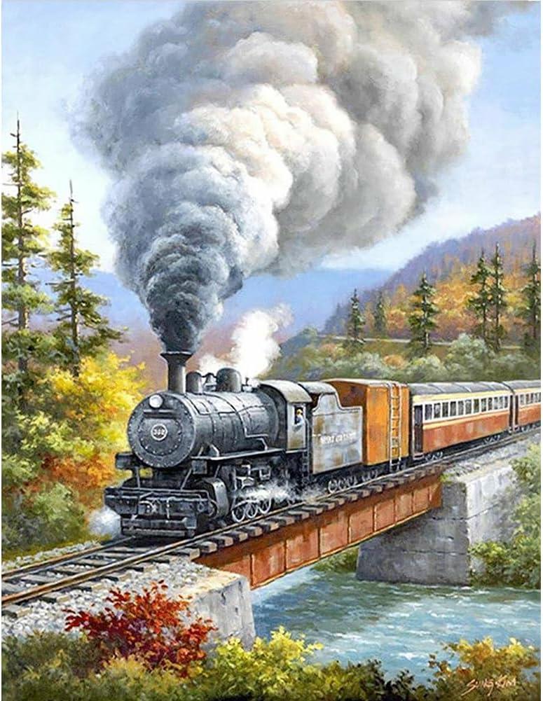 Acudotr Diamond Painting Kits for Adults, 5D DIY Diamond Art Kits for Beginners, Full Drill Diamond Painting Kits for Home Wall Decor, Running Train, 12x16 Inch
