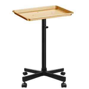Premium Aluminum Salon Tray, Sturdy Corrosion-Resistant Adjustable Tray is Used for Tattoo Tray, Salon Tool/Color Tray, Beauty Spa Tray, Dentist Tray, Etc.(Black+Gold)