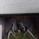 PREXTEX Skeleton Coming Out of The Ground - Life-Sized Unique Groundbreaker Skeleton Stakes for Outdoor Yard Halloween Decorations - Realistic Spooky Skeleton in Front Lawn Garden