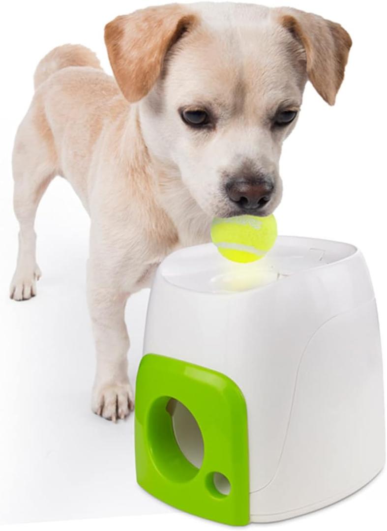 ALL FOR PAWS Interactives Fetch'N Treat Toy for Dogs Multi