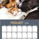 TF Publishing 2026 Furry Friends Wall Calendar - Large Grids for Appointments and Scheduling - Vertical Monthly Wall Calendar 2026 with Premium Gloss Paper for Home and Office Organization - 12x12in