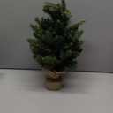 1FT Unlit Artificial Holiday Christmas Tree No Lights, Hinged Spruce Branch Tips for Home, Office, Party Decoration No Prelit Foldable Base (11in)