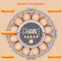 12 Egg Incubators for Hatching Eggs, Automatic Egg Turning & Humidity Control Intelligent Temp Eggs Candler for Chicken Quail Duck etc. Eggs, Suit for Beginner Backyard Hobbyist Students Education
