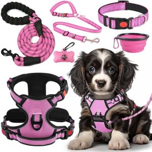 LOBEVE No Pull Dog Harness, Collar & Leash Set | Includes Dog Seat Belt, Collapsible Bowls & Poop Bag Dispenser. Ideal for Training, Walking, Hiking (Pink-M)