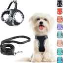 Black Leash Set - No Pull Adjustable Reflective Breathable Mesh Step-in Harness for Extra Small/Small Medium Dogs & Cats - Easy Walk, Outdoor Hiking & Training