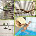 PINVNBY Parrot Perches - Soporte para pjaros naturales, palo de uva silvestre, molienda de patas de madera, accesorios y juguete para periquitos, agapornis, periquitos, cacatas y pinzones