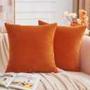 Throw Pillow Covers Burnt Orange Set of 2 18x18 Inch Fall Pillow Covers, Soft Velvet Farmhouse Neutral Decorative Pillowcases for Couch Sofa Bed, Home Boho Decor, Modern Cushion Covers