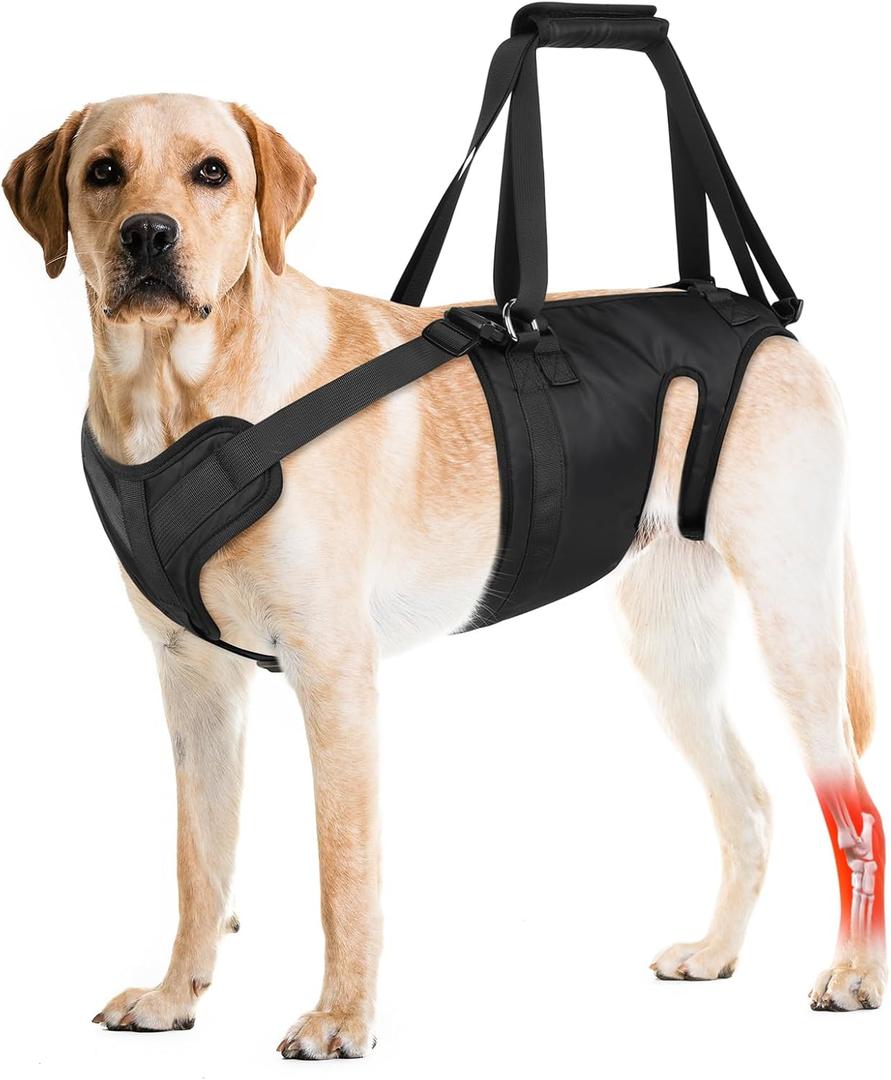 Dog Lift Harness, Dog Sling for Large Medium Dogs' Hind Leg Support Pee-Able. Ideal for Seniors, Disabled, Injured & Arthritic Dogs in ACL Recovery, Secure Harness for Assisted Mobility (Large)