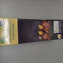 Kids Camping Toys - 2 Light Modes Kids Lantern Torch with Glowing Lights and Natural Sound Effects; Indoor/Outdoor Flashlights for Toddlers - Great Halloween, Holiday and Birthday Gift Ideas