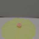 Charles Viancin - Lilypad Silicone Lid for Food Storage - 8''/20cm - Creates an Airtight Seal on Any Smooth Rim Surface - BPA-Free - Oven, Microwave, Freezer, Stovetop and Dishwasher Safe (Medium/Small)