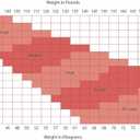 Capezio Women's Ultra Soft Transition Tight (XX-Large, Ballet Pink)