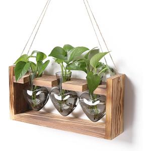 Plant Terrarium Propagation Stations Hydroponics Home Garden Decoration Gift for Women with Wooden Stand Heart Shaped Colored Glass Vase