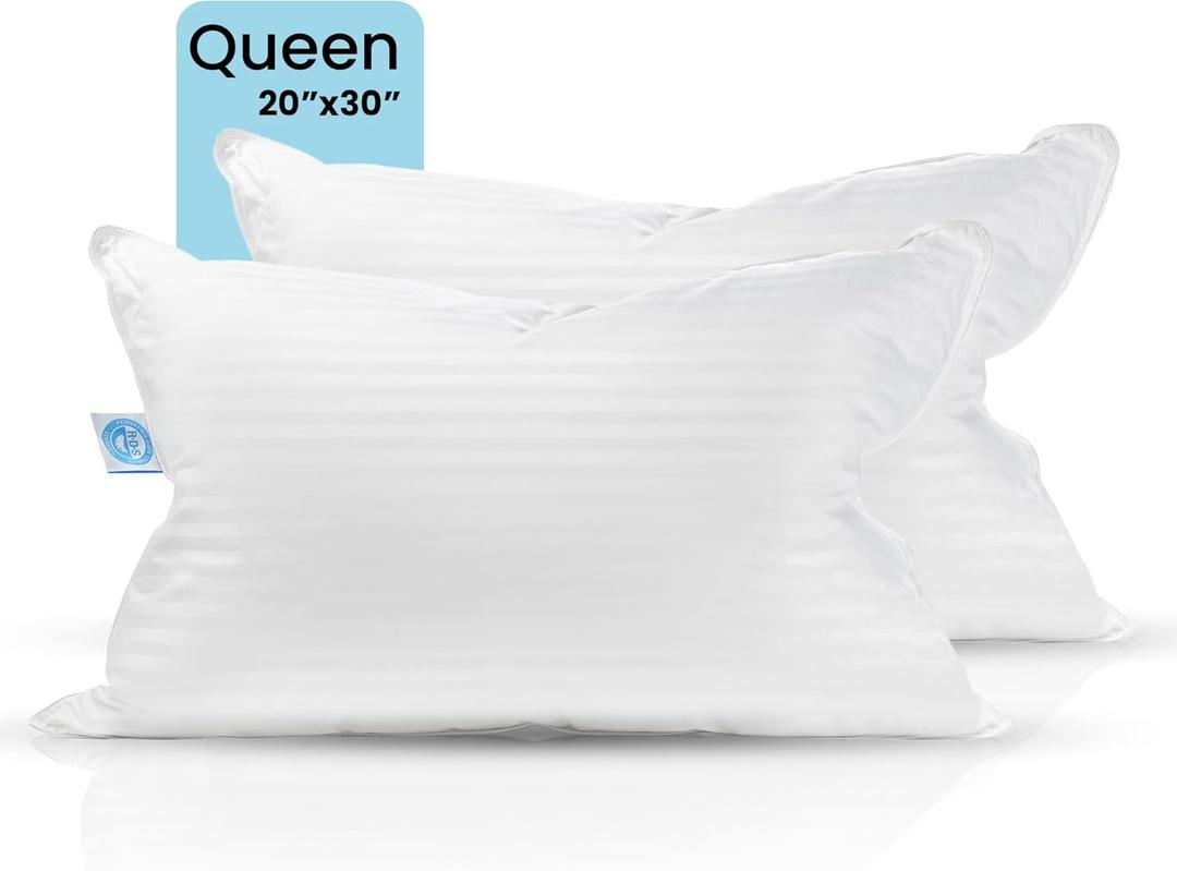East Coast Bedding Balanced Dream 50/50 Goose Feather Down Queen Pillows 20x30 Inch Medium Support with 100% Cotton Shell  2 Pack