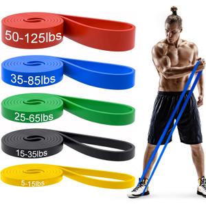 Pull Up Bands, Resistance Bands, Pull Up Assistance Bands Set for Men & Women, Exercise Workout Bands for Working Out, Body Stretching, Physical Therapy, Muscle Training (Colorful)