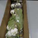 VIERENA 6 Pcs Faux Silk Peony Artificial Flowers for Vase -27", Bulk Fake Peonies Branches with Stems for DIY Bouquet Centerpieces Wedding Fillers Arrangements Shower Decorations (Cream)