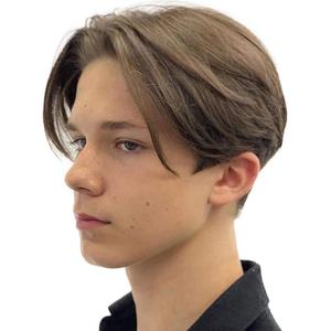 Kaneles Mens Brown Wig Short Straight Men Wigs Synthetic Wig Realistic Natural Middle Part Wigs for Men (Brown)