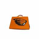 Logo Brands Officially Licensed NCAA Unisex Bleacher Cushion, One Size, Team Color (14" x 14" x 1")