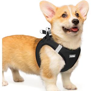 rabbitgoo Small Dog Harness, Step-in Soft Mesh Puppy Vest with Safety Buckle, Breathable Reflective Pet Harness for Dogs, Black L