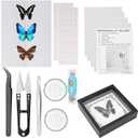 Insect Specimen Tools Kit