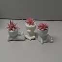 Der Rose 3 Pcs Fake Succulents Plants Artificial Pink Room Office Desk Decor for Women