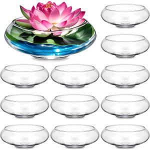 Baderke 12 Pcs Hydroponic Planter Lotus Flower Pot Planter Lotus Bowl Clear Glass Fish Bowl Vase for Planting Indoor Home Decor Water Lily Narcissus Planting Water Lily (7.09in)