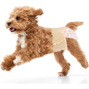 Ambreview Dog Diapers Female, Disposable Diapers for Female Dog with Stretchy Waist, Pull Up Puppy Wraps for Doggie in Heat Period Super Absorbent Leak-Proof Doggy Diaper for Dogs 30PCS (XS)