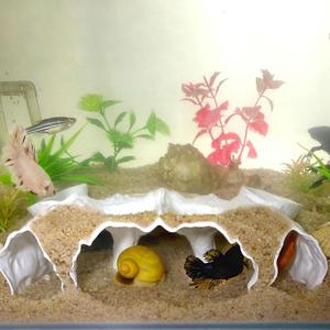 Aquarium Hidden cave，Small Bottom-Dwelling Fish&Shrimp Safe Hiding Hole，Underground Double-Hole Hiding Tunnel，3D Printed， Fish Tank Decoration Accessories (Large Size) (White)