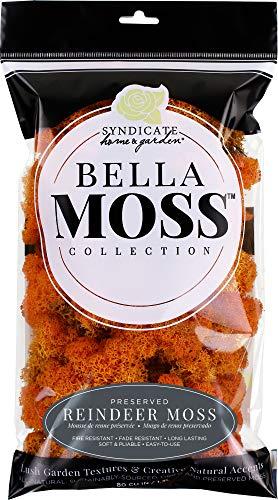Bella Moss 1406121083 Reindeer Bag Moss, Autumn