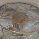 Modern Gold Crystal Fandelier Ceiling Fan with Light and Remote 6-Speed