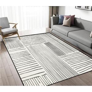 Area Rug 5x7 Feet Abstract Lines, Non-Slip Comfort Floor Mat Washable Rug Modern High Traffic Durable for Living Room, Bedroom, Home Office (Black White)