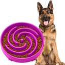 JASGOOD Slow Feeder Dogs Bowl for Large Medium Dogs,Anti-Gulping Pet Slower Food Feeding Bowls Stop Bloat,Preventing Choking