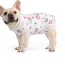 FEimax Dog Recovery Suit After Surger, Abdominal Wounds Post Surgical Recovery, Soft Breathable Dog Bodysuit for Small Middle Pet, Alternative Bandages Substitute Abdominal Wounds Cone & E-Collar