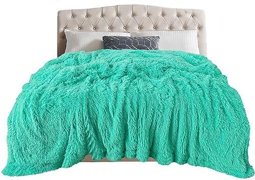 TOONOW Extra Soft Fuzzy Faux Fur Blanket Queen Size 78"x90", Reversible Lightweight Decorative Blankets and Throws Super Soft Cozy Microfiber Fleece Fuzzy Blankets for Couch Bed, Turquoise