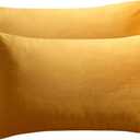 JUSPURBET Gold 16x24 inch Pillow Cover Set of 2 Soft Decorative Lumbar Velvet Throw Pillow Cases for Couch Bed Sofa Zippered Closure Luxurious Velvet Fabric Machine Washable Home Decor