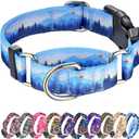 Hikiko Martingale Collar for Dogs Soft Durable Dog Collar for  Boy and Male Dogs No Pull No Slip Safety Buckle Dog Collars (Hill, Small)