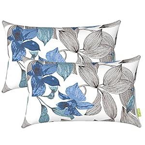 LVTXIII 12×20 Inch Outdoor Lumbar Pillows, Pack of 2 Water Repellent Lumbar Pillow with Inserts, Fluffy Decorative Garden Lumbar Cushions for Home Patio Coach Sofa Use, Clemens Noir Blue