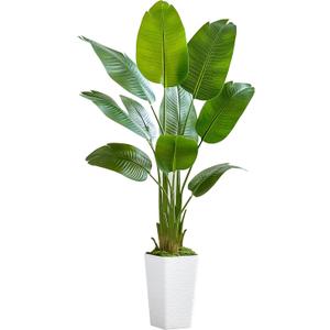 Bird of Paradise Artificial Plant, 5FT Faux Plants Indoor Banana Leaf Tree with 9 Leaves, Large Fake Tropical Potted Indoor Silk Floor Plant with White Tall Planter for House,Office,Room,Home Decor