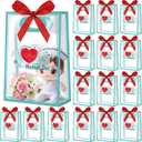 Gueevin 24 Pcs Cna Appreciation Gift Bags with Handles, Clear Reusable Plastic Cnas Week Treat Goodie Bags with Red Bow Ribbon PVC Tote for Nurses Day Graduation Doctor