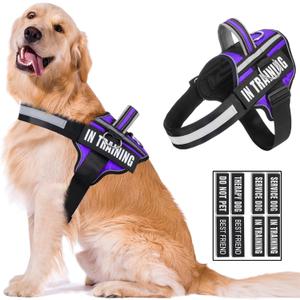Reflective Dog Harness, Anti-Slip No Pull Dog Vest Harness with 8Pcs Dog Patches, Adjustable In Training Service Pet Harness for All Breeds, 3 Ring No-Choke Pet Oxford Vest for Small Medium Large Dogs (Purple)