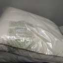 YOUR MOON Soft Organic Wool Pillow Queen, Flat & Thin Wool Pillow for Sleeping, Low-Loft Bed Pillows for Back and Stomach Sleepers, Breathable Soft Cotton Cover(Off White) (Queen (Pack of 1))