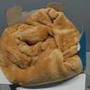 EASELAND Soft King Size Blanket All Season Warm Fuzzy Microplush Lightweight Thermal Fleece Blankets for Couch Bed Sofa,90x108 Inches,Camel