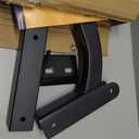2 Bike Rack Bicycle Carrier Racks Hitch Mount Double Foldable Rack for Cars Truck SUV Fits 2" Hitch Receiver, Including Anti-Rattle Hitch Tightener